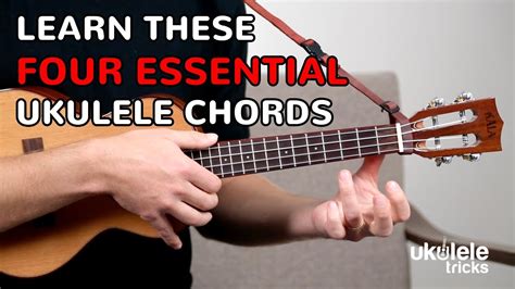 Learn to play the ukulele .